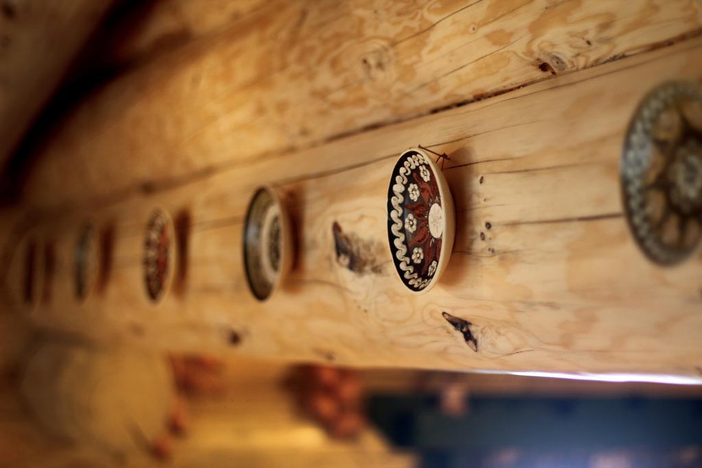 KosmachEco House Butinar别墅 外观 照片