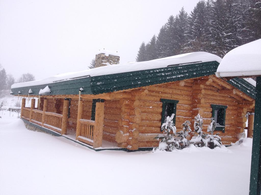 KosmachEco House Butinar别墅 外观 照片