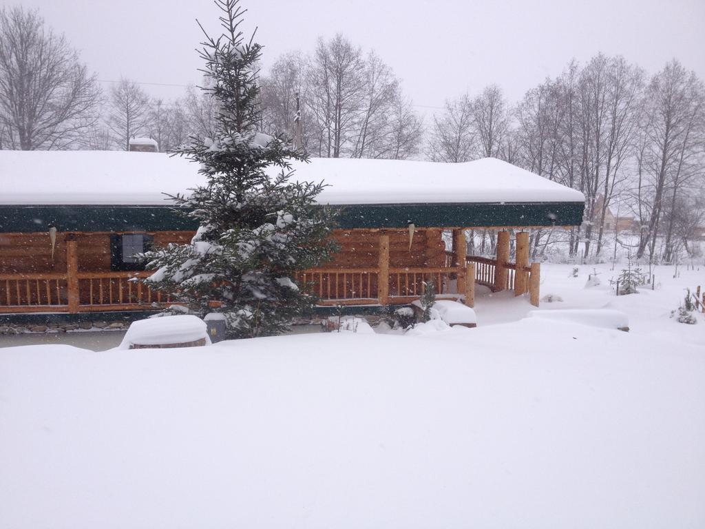 KosmachEco House Butinar别墅 外观 照片